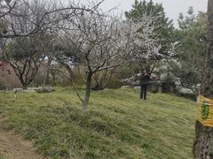 -丰台花园