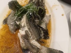 -稻香酒家·35年老字号(侨光店)