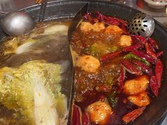 -朱光玉火锅馆(正弘城店)