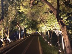 -星湖旅游景区七星岩