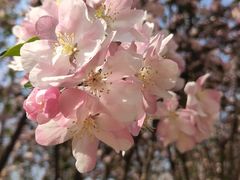 -大兴滨河森林公园