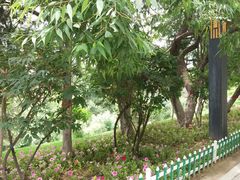 -兰山公园