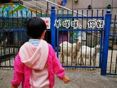 -上海佘山世茂艾美酒店