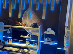 -宜家家居(哈尔滨商场店)