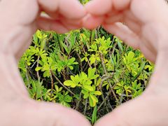 -厦门湾·白塘湾火山公园