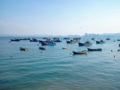 -海源公园