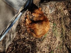 -终南山南五台景区