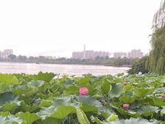 -1912街区
