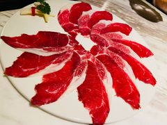 -汤城·料青山