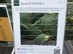 -热带雨林自然公园