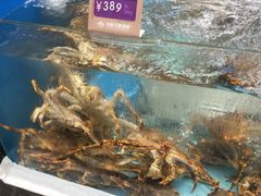 -鸿星花园酒家(银亿家园店)