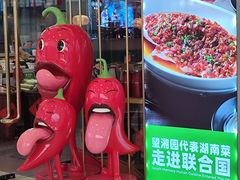 -望湘园·湖南菜(我格广场店)
