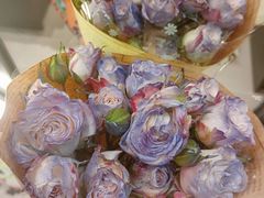 -米泰芒·东南亚料理(体育西店)