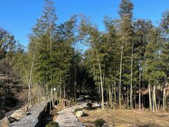 -萍乡武功山风景名胜区
