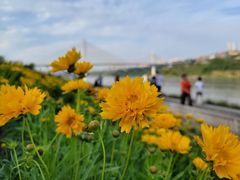 -石井坡(地铁站)