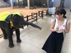 -东芭乐园