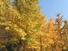 -青州市云门山风景区