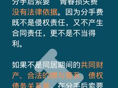 -上海领胜律师团队·法律咨询