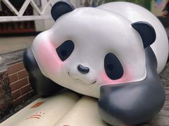 -轩客会(熊猫书店)