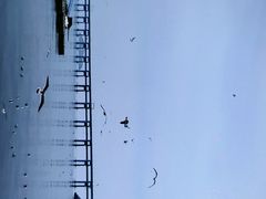 -星海广场
