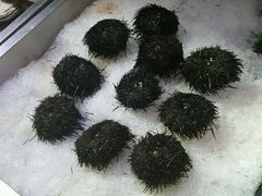 -渔民新村(番禺总店)