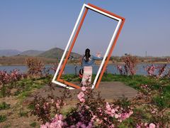 -大连铭湖国际观光牧场