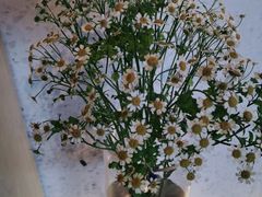 -L'Arome芳芳法国餐厅(仙林金鹰店)
