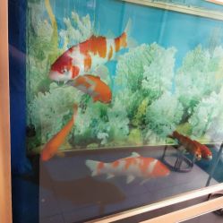 -东莞西妃整形美容医院