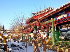 -老城味道·传统天津菜(杨柳青店)