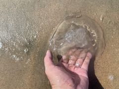 -秦皇岛秦皇国际大酒店