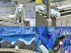 -海合安青岛极地海洋公园