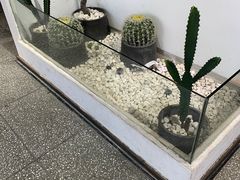 -莓超疯