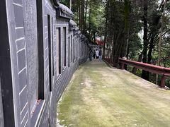 -老君山
