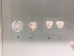 -青岛贝壳博物馆