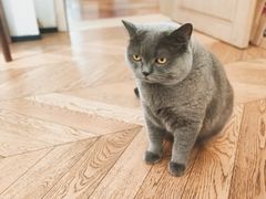 -Me Coffee下午茶艺术空间