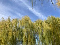 -石家庄市植物园