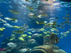 -海合安武汉极地海洋公园