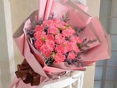 -丁老爷子苏香圆