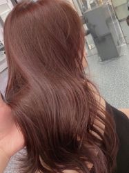 -IP SALON