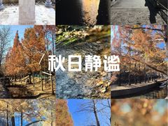 -白水寺森林公园
