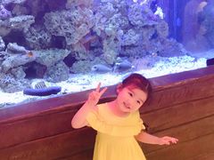 -海鲜e族(马王堆店)