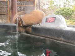 -扬州瘦西湖温泉