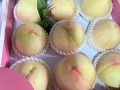 -南汇新场正宗水蜜桃采摘