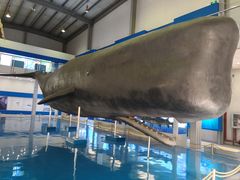 -上海海洋大学鱼文化博物馆(军工路校区)