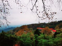-莫干山风景区