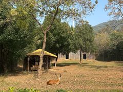-合肥野生动物园