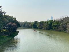 -海珠湖公园