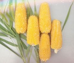 -Oasis Beauty水磨坊科技美肤中心