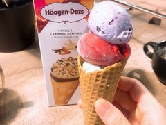 -哈根达斯(龙湖时代天街店)