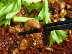 公平兔-温江公平红烧兔(总店)